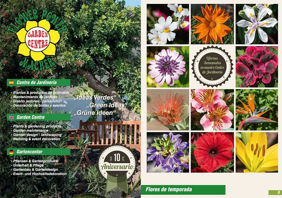 Flower Power Lanzarote Catalogue