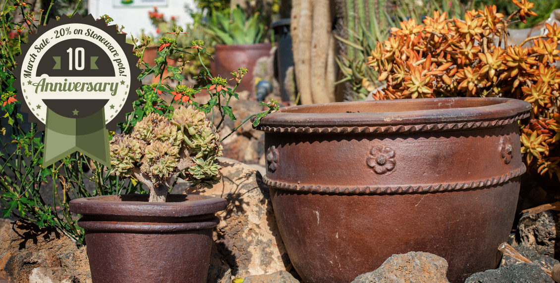 Great sale on Stoneware pots